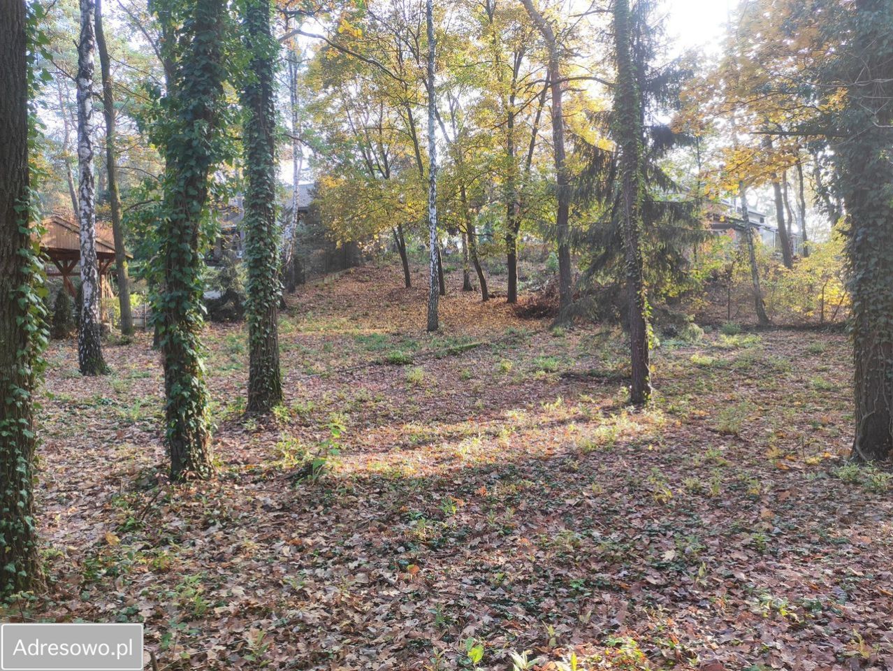 Działka budowlana Łomianki Łomianki-Dąbrowa, ul. Łyżwiarska. Zdjęcie 3