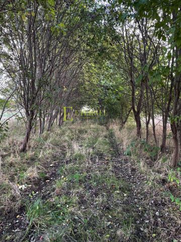 Działka budowlana Kraków Wadów, ul. Za Ogrodem. Zdjęcie 4