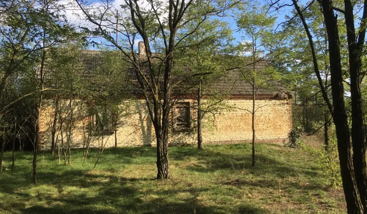 Działka siedliskowa Młyniska