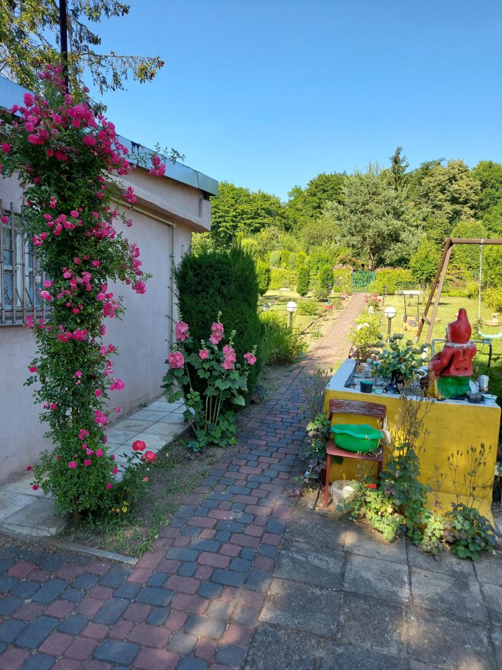 Działka rod Tarnowskie Góry Centrum, ul. Bytomska. Zdjęcie 3