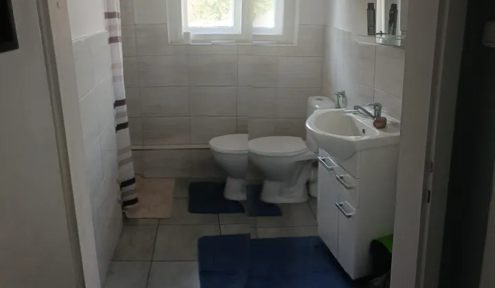 dom wolnostojący, 5 pokoi Stare Budkowice, ul. Zagwiździańska