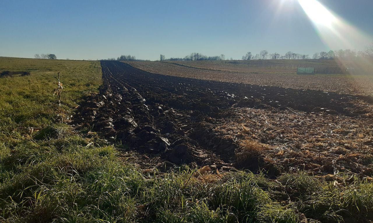 Działka budowlana Wojnicz, ul. św. Kingi. Zdjęcie 4