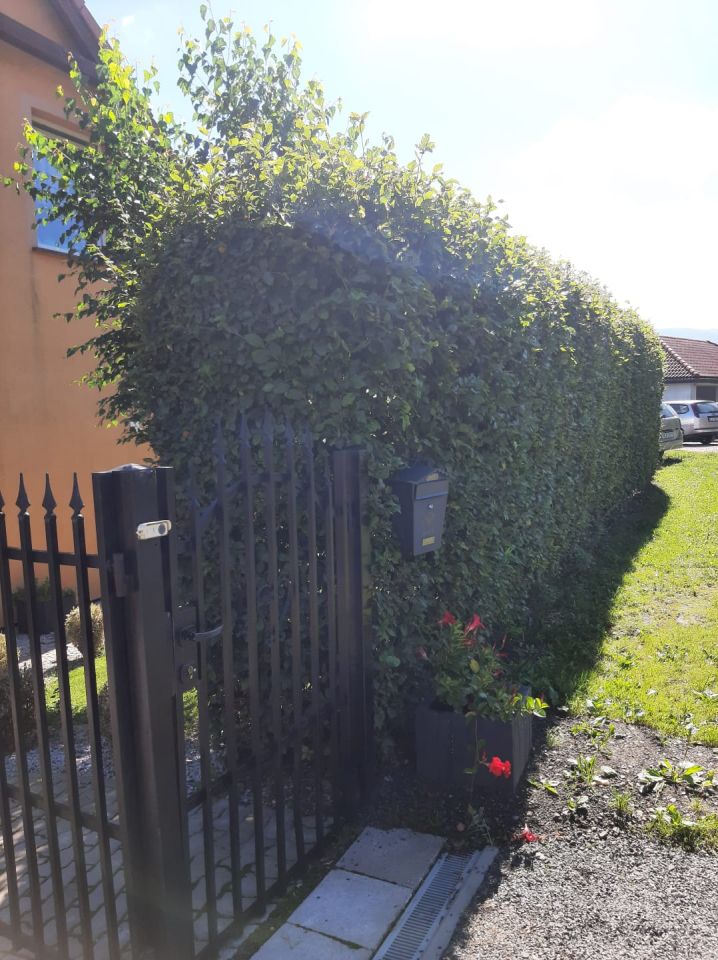 dom wolnostojący, 4 pokoje Wojcieszyce, ul. Rumiankowa. Zdjęcie 5