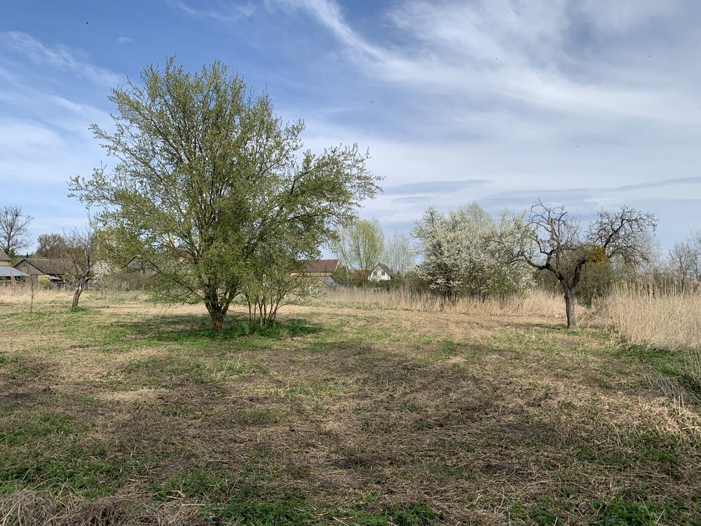 Działka budowlana Jenin. Zdjęcie 8