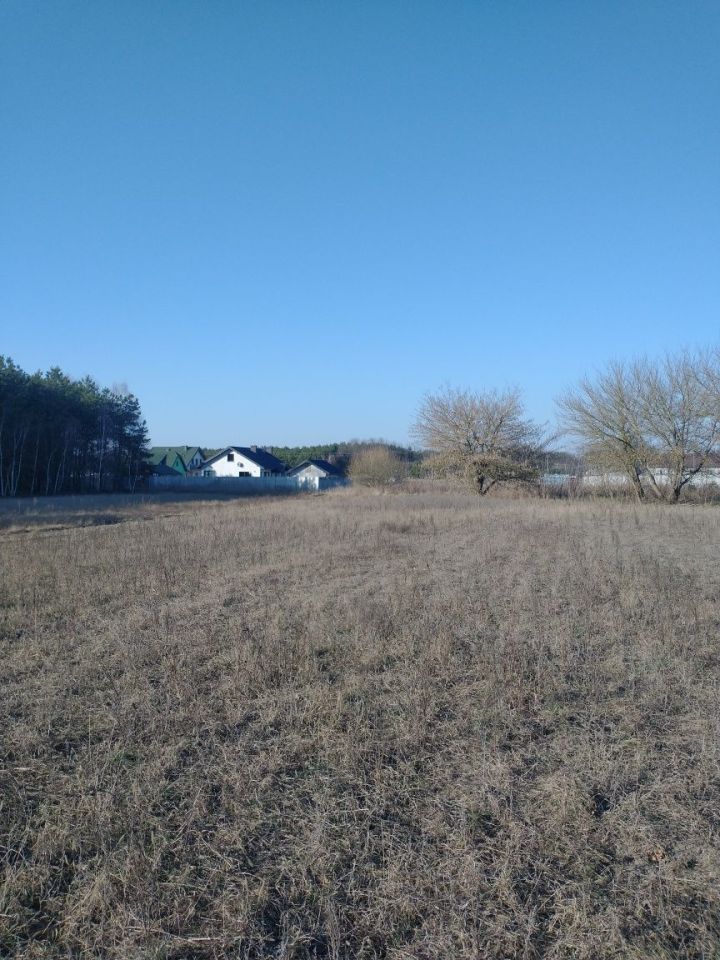 Działka siedliskowa Dziadowice-Folwark. Zdjęcie 4