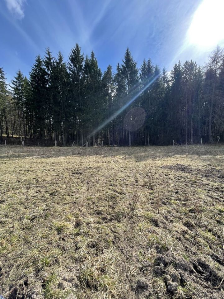 Działka budowlana Kabikiejmy Dolne. Zdjęcie 7