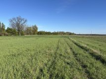 Działka budowlana Paczyna. Zdjęcie 3