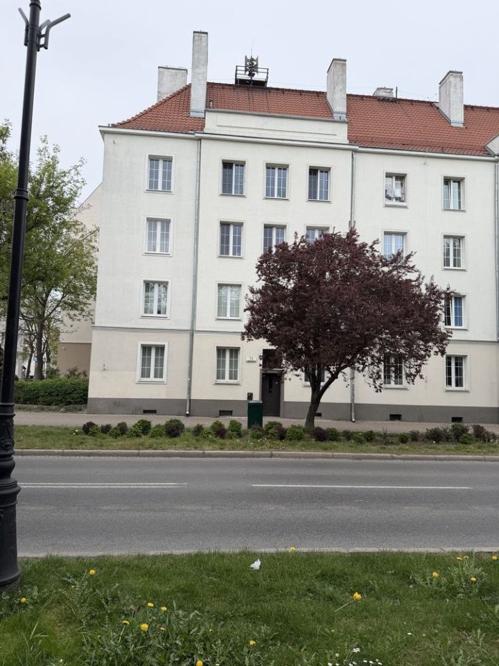 Mieszkanie 1-pokojowe Gdańsk Śródmieście, ul. Podwale Staromiejskie. Zdjęcie 5