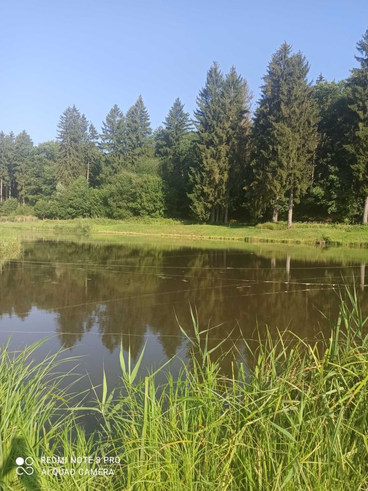 Działka rolna Recz. Zdjęcie 2