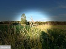 Działka budowlana Zielonka, ul. Szpakowa. Zdjęcie 1