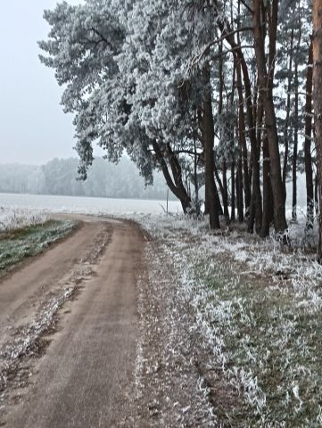 Działka rolno-budowlana Nowe Żabno, ul. Juliusza Słowackiego. Zdjęcie 1