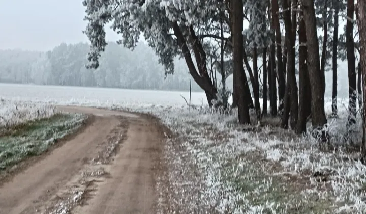 Działka rolno-budowlana Nowe Żabno, ul. Juliusza Słowackiego