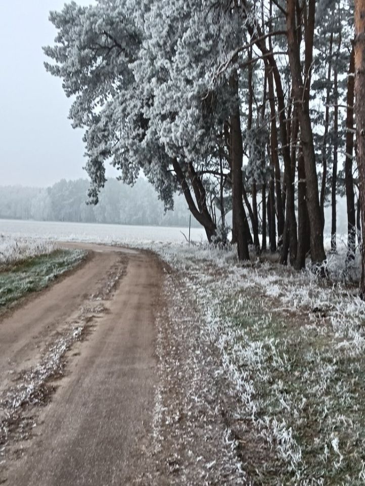 Działka rolno-budowlana Nowe Żabno, ul. Juliusza Słowackiego. Zdjęcie 1