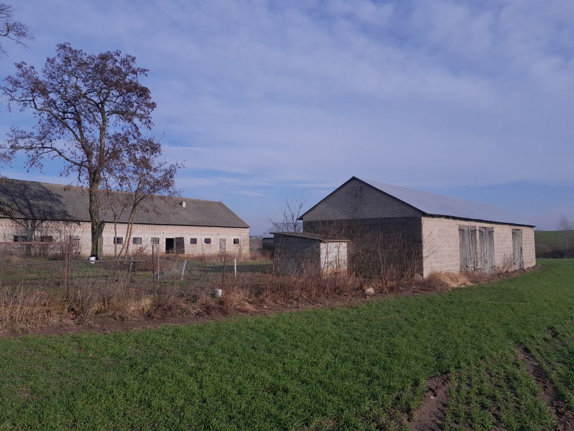 Działka budowlana Chalno. Zdjęcie 2