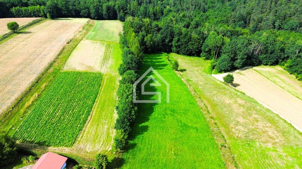 Działka rolno-budowlana Łąkta Górna. Zdjęcie 6