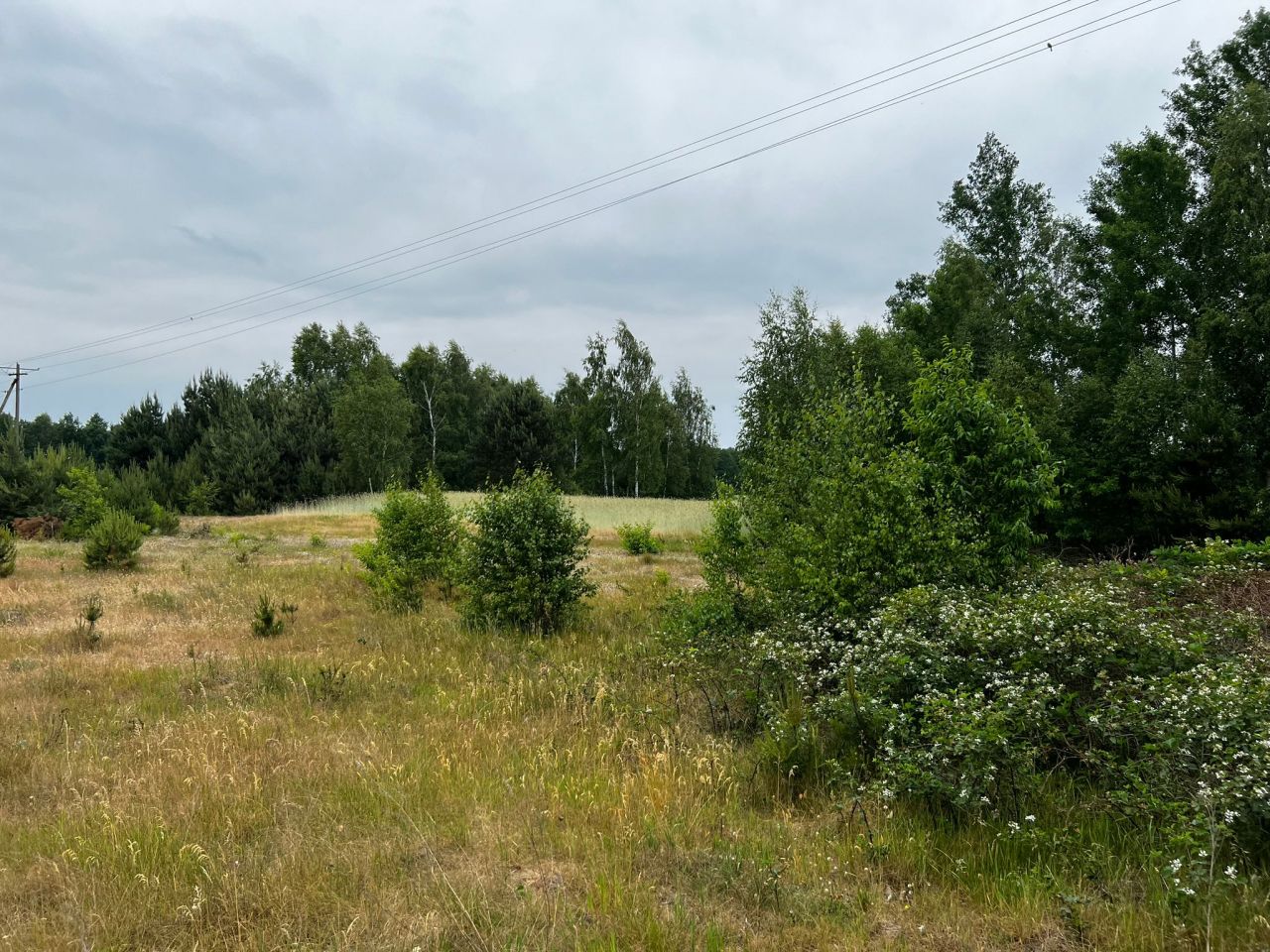 Działka budowlana Łąkie, Łąkie. Zdjęcie 12