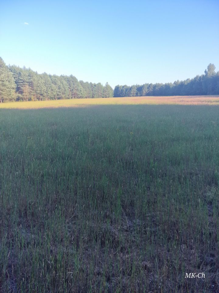 Działka siedliskowa Nowy Lipsk. Zdjęcie 33