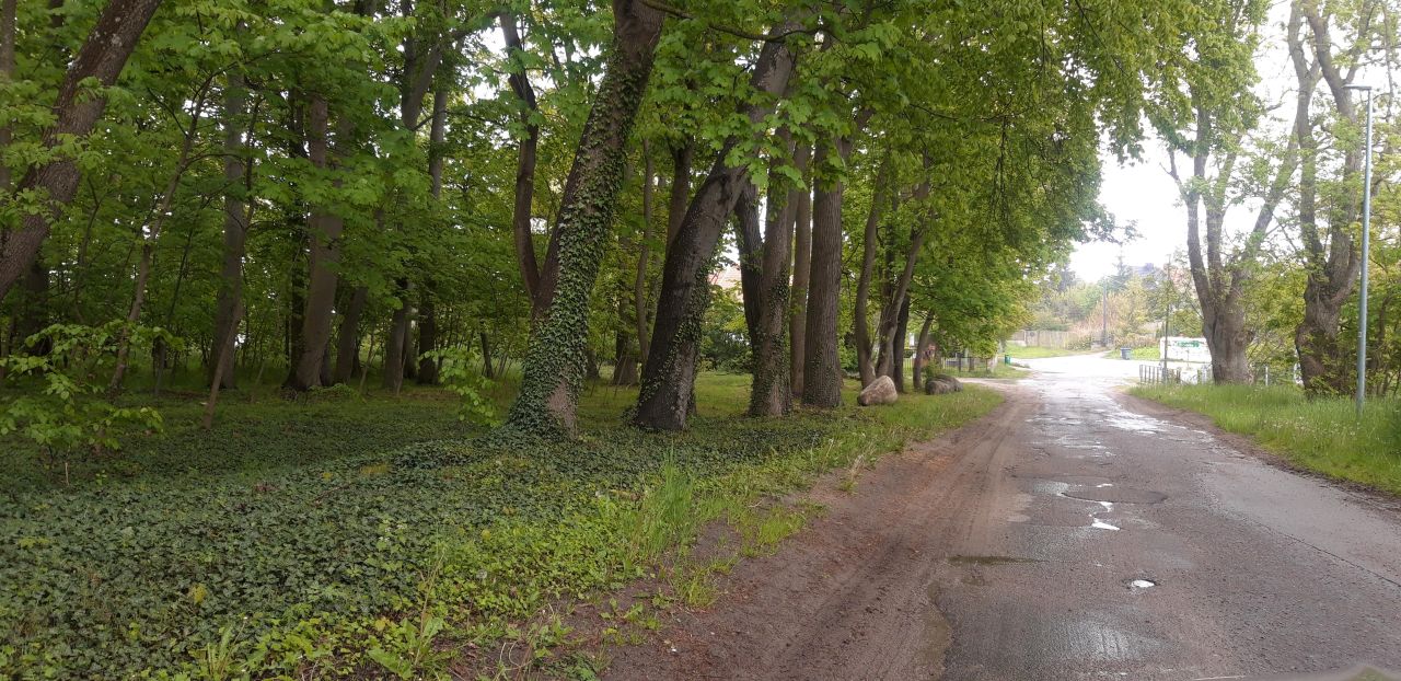 Działka rolno-budowlana Żuława, ul. Kwiatowa. Zdjęcie 7