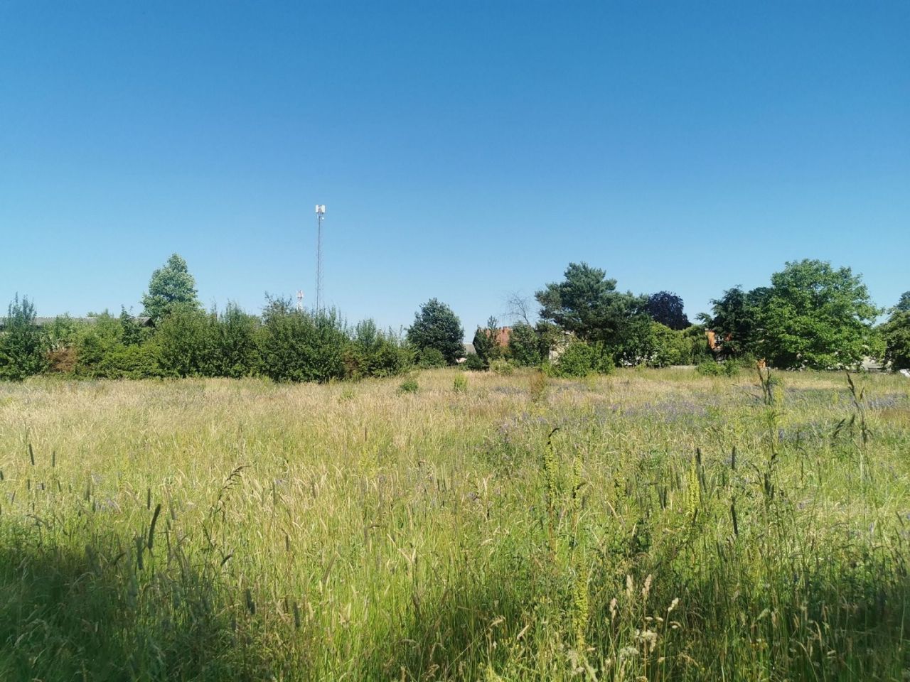Działka budowlana Lipka. Zdjęcie 16