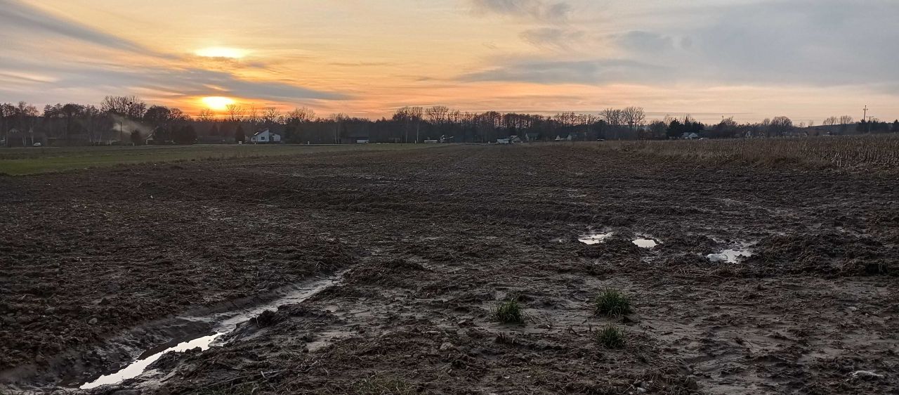 Działka budowlana Jabłonna Pierwsza. Zdjęcie 6
