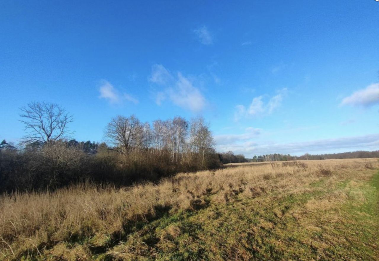 Działka rolna Dalno. Zdjęcie 11