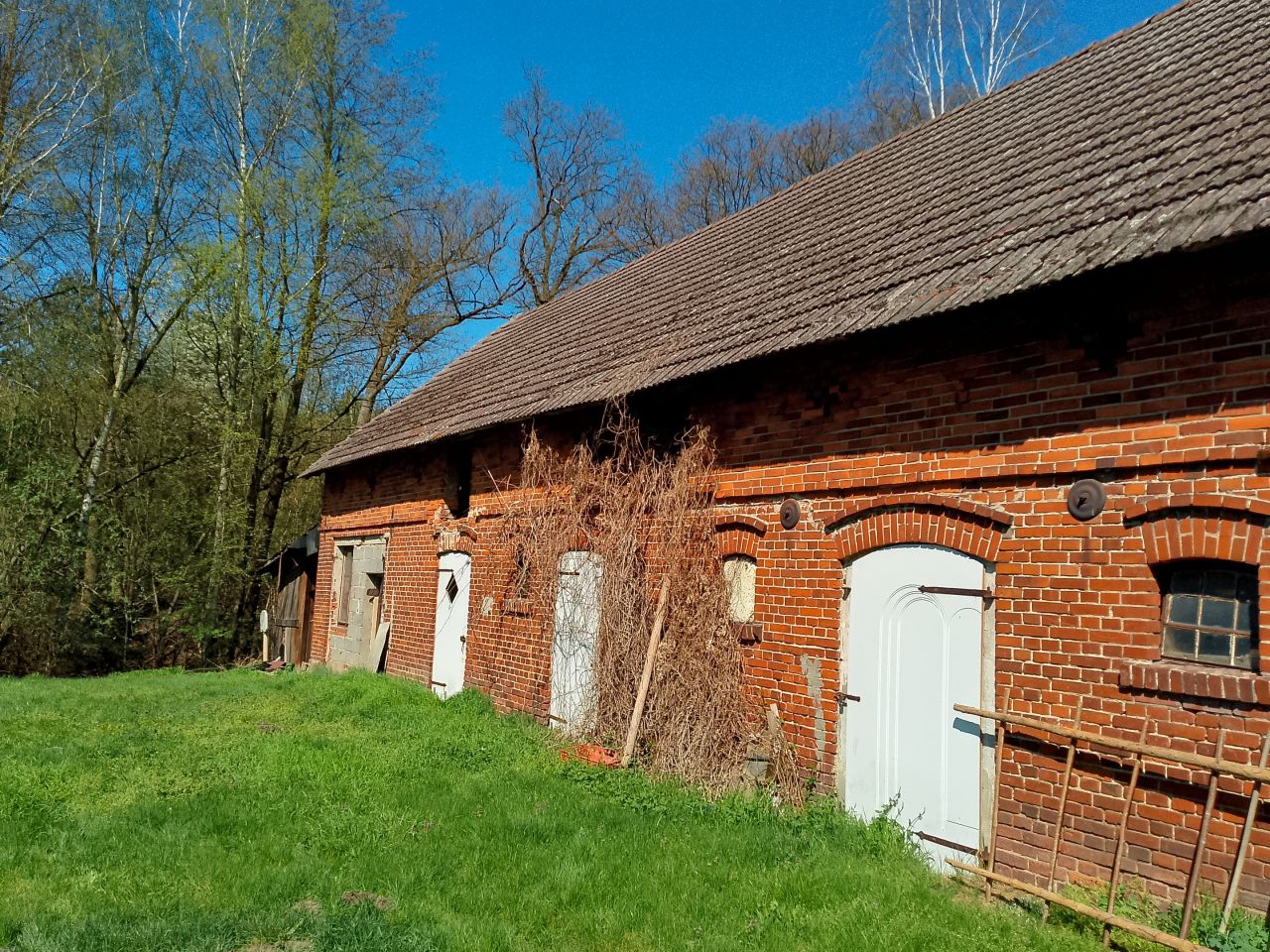 gospodarstwo, 3 pokoje Moszyce Wesółka, Sportowa. Zdjęcie 7