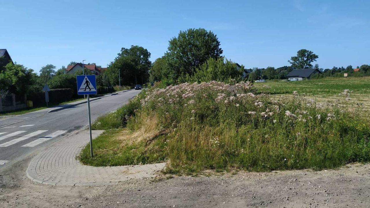 Działka budowlana Będzino. Zdjęcie 8