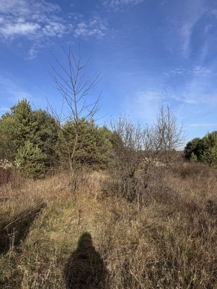 Działka rolno-budowlana Józefów. Zdjęcie 7