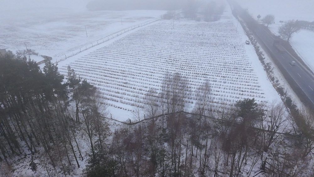 Działka Lubiewice. Zdjęcie 5