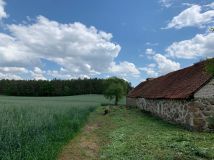 Działka siedliskowa Gruzy. Zdjęcie 4