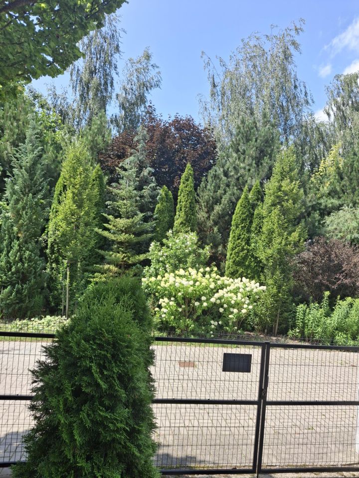 dom szeregowy, 5 pokoi Ożarów Mazowiecki, Sikorskiego. Zdjęcie 15