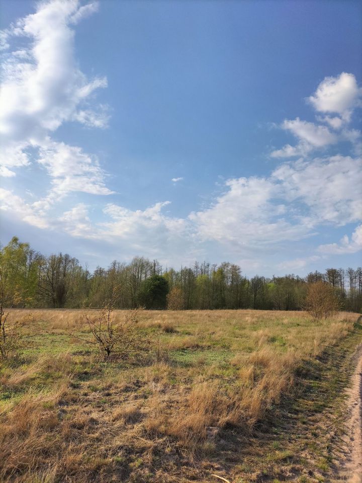 Działka rekreacyjna Orłowo. Zdjęcie 4