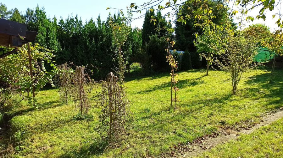 Działka rod Straszyn, ul. inż. A. Hoffmanna. Zdjęcie 6