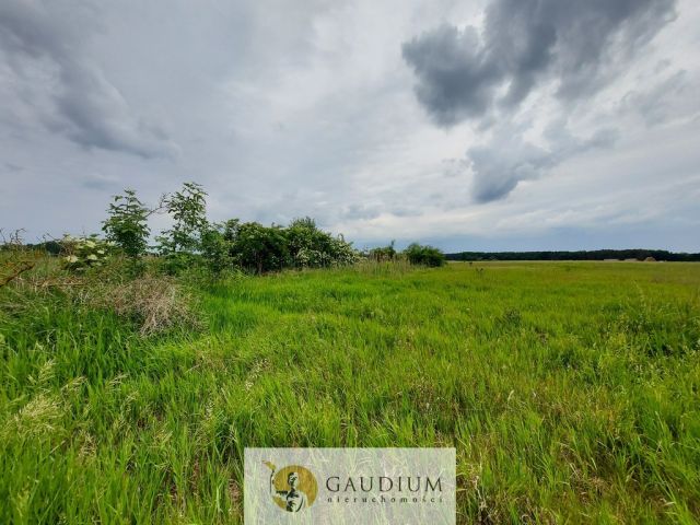 Działka Karszyn. Zdjęcie 12