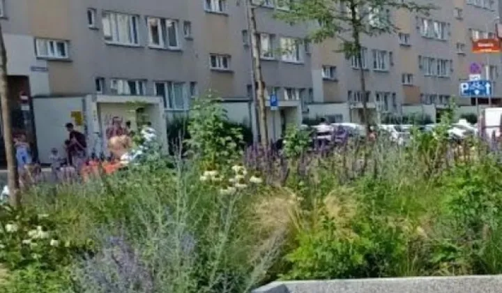 Mieszkanie 3-pokojowe Wrocław Stare Miasto, ul. Kotlarska