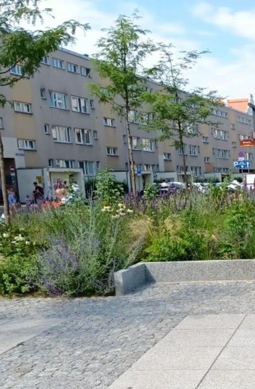 Mieszkanie 3-pokojowe Wrocław Stare Miasto, ul. Kotlarska. Zdjęcie 1