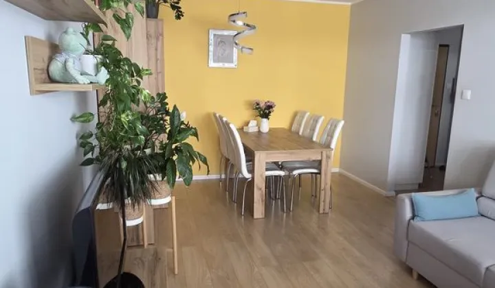 Mieszkanie 2-pokojowe Poznań Nowe Miasto, ul. Smolna