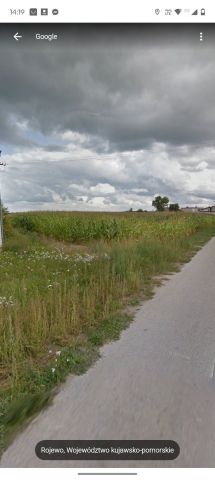 Działka rolno-budowlana Rojewo. Zdjęcie 1