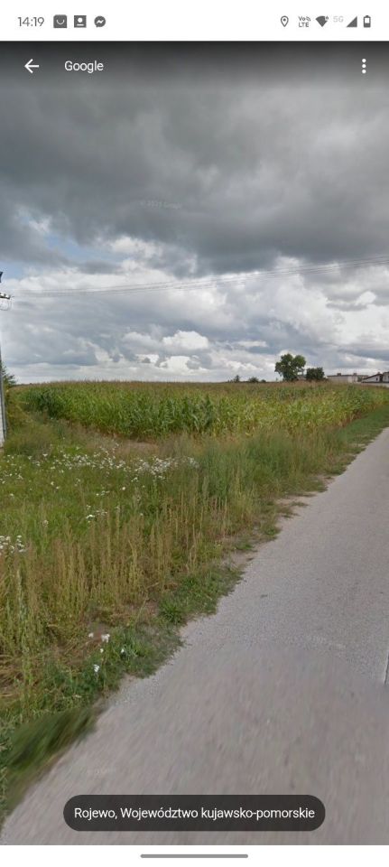 Działka rolno-budowlana Rojewo. Zdjęcie 1