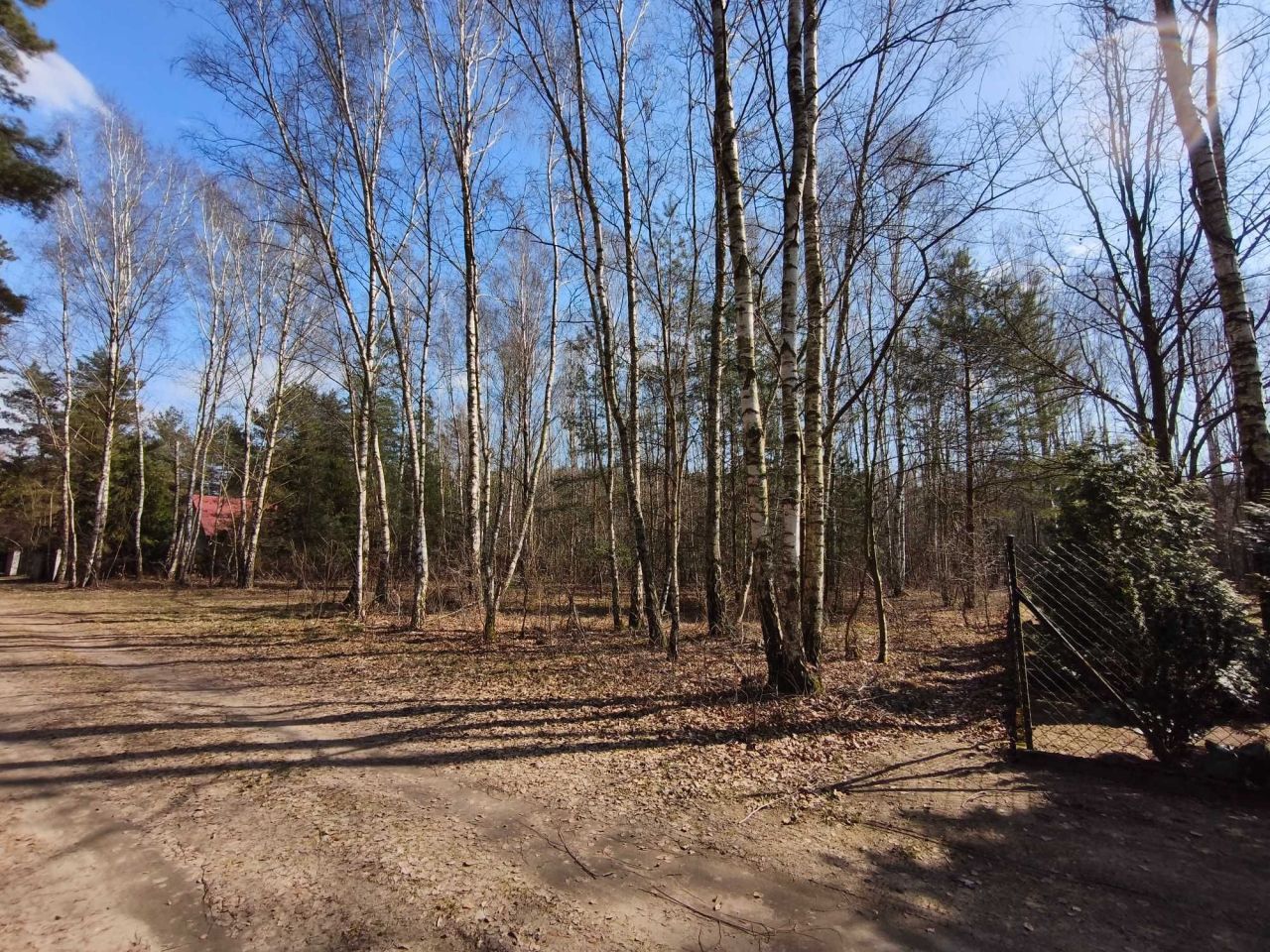 Działka Cyprianów. Zdjęcie 2