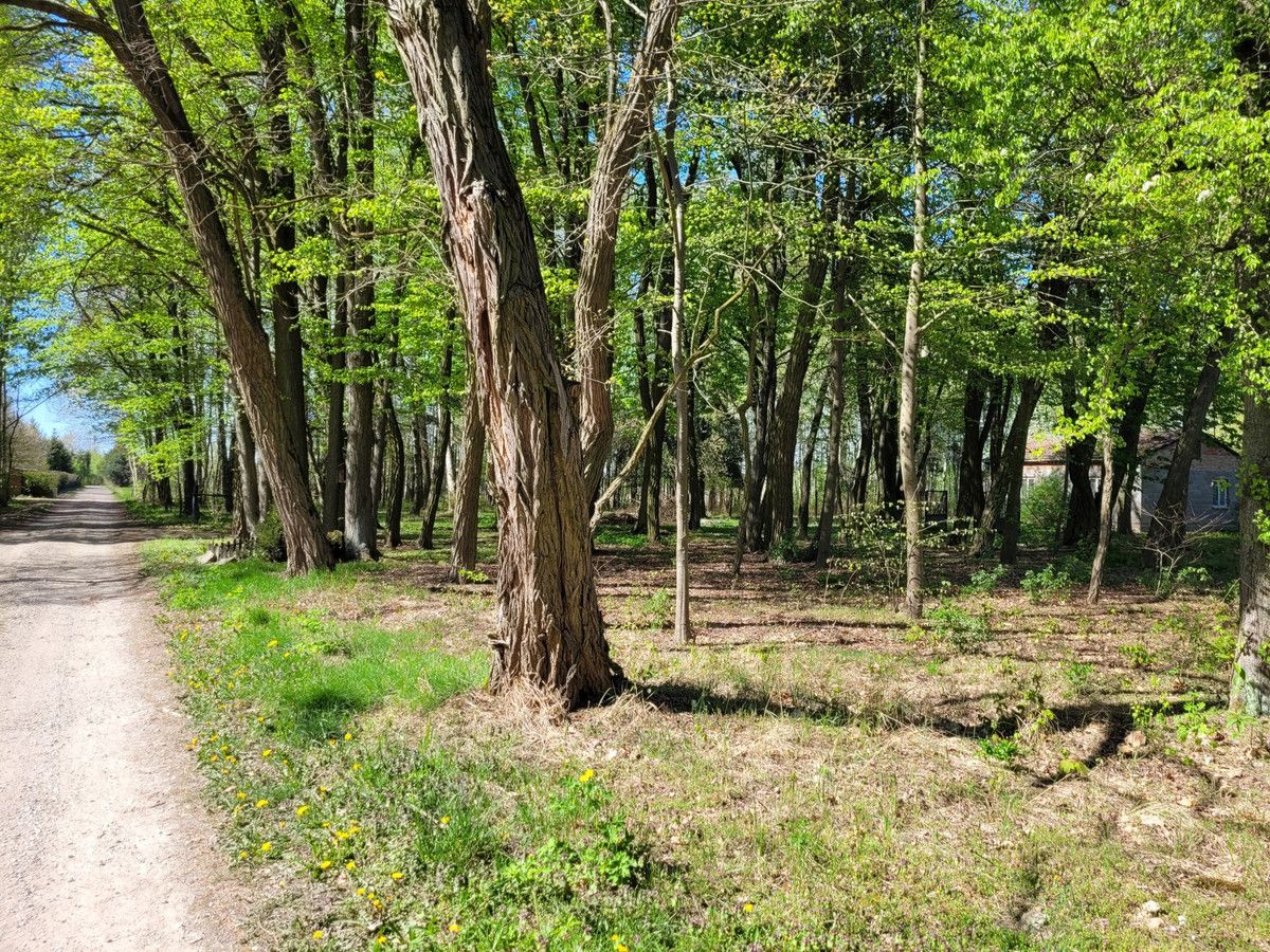 siedlisko Zaręby, ul. Kuropatwy. Zdjęcie 8