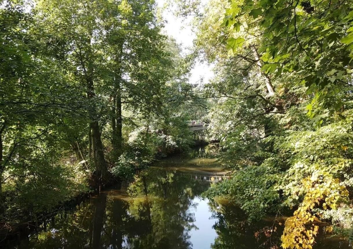 Działka rolno-budowlana Dębinka. Zdjęcie 7