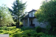 dom wolnostojący, 4 pokoje Borowa, ul. Długa. Zdjęcie 1