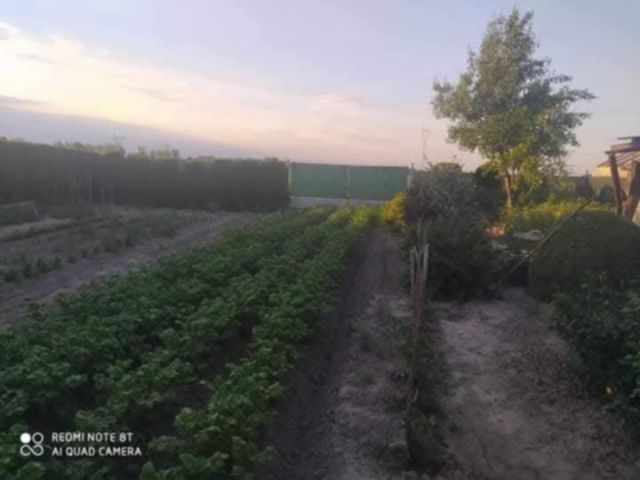 Działka budowlana Strzykuły, ul. Dereniowa. Zdjęcie 1