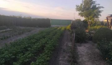 Działka budowlana Strzykuły, Dereniowa