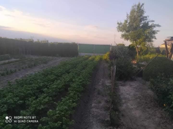 Działka budowlana Strzykuły, ul. Dereniowa