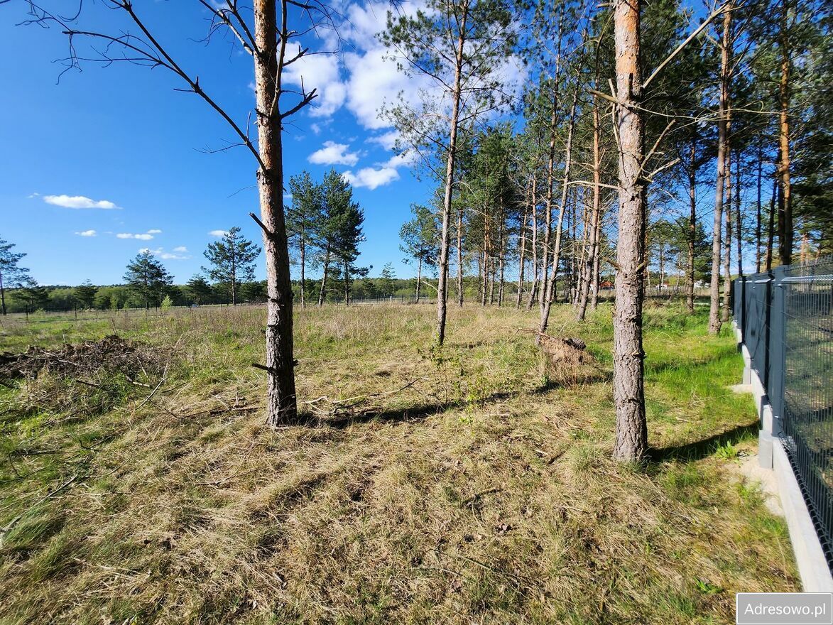Działka rolna Szczechy Wielkie