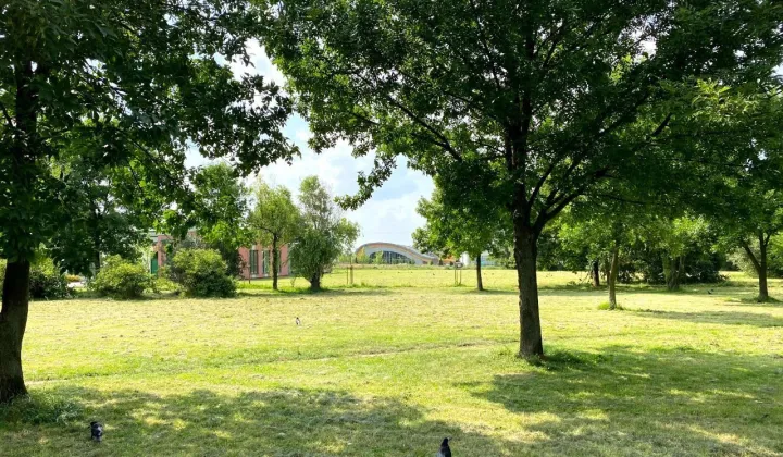 Mieszkanie 2-pokojowe Tomaszów Mazowiecki, Centrum