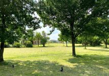 Mieszkanie 2-pokojowe Tomaszów Mazowiecki, Centrum