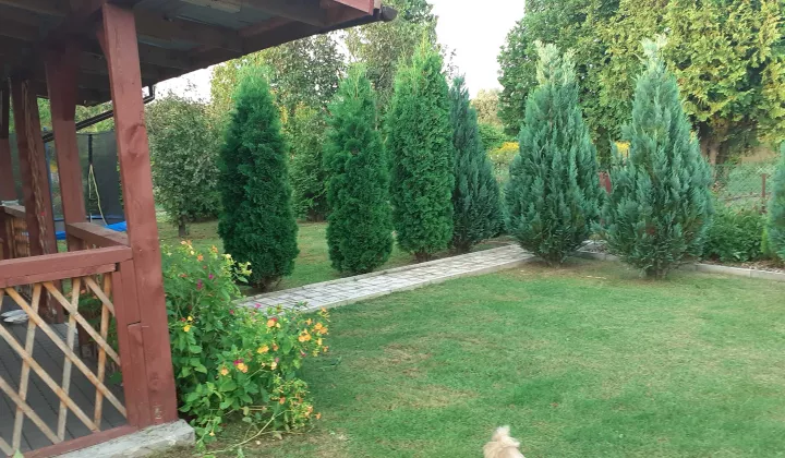 Działka rod Żychlin